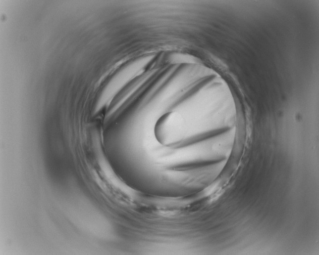 X0000054430154200508262356