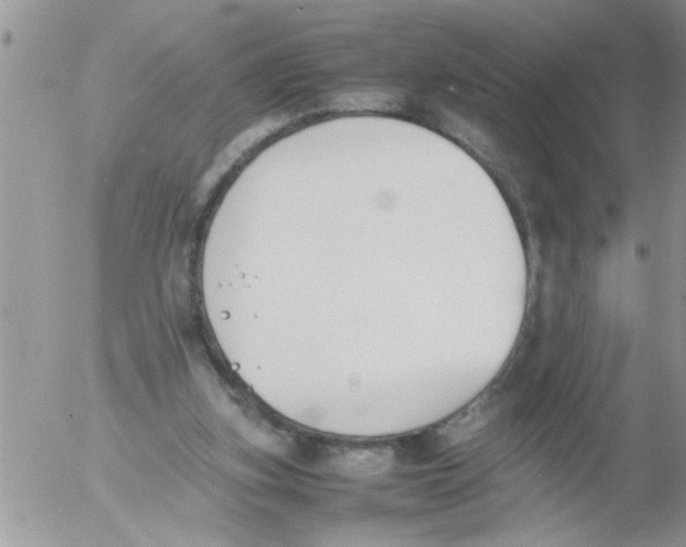 X0000054430155200508262356