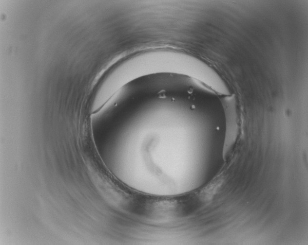 X0000054430156200508262356