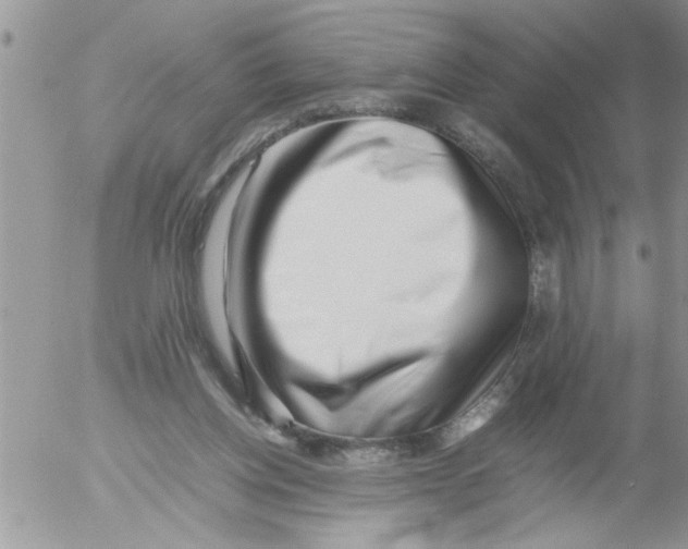 X0000054430158200508262356