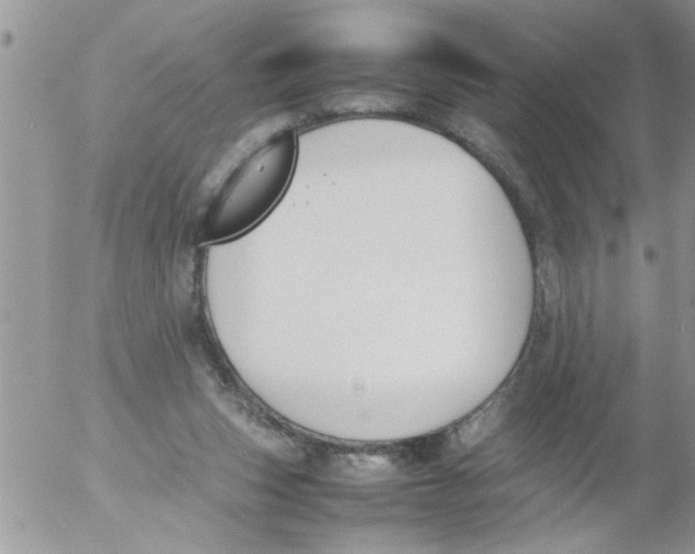 X0000054430159200508262356