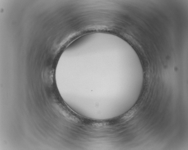 X0000054430160200508262356