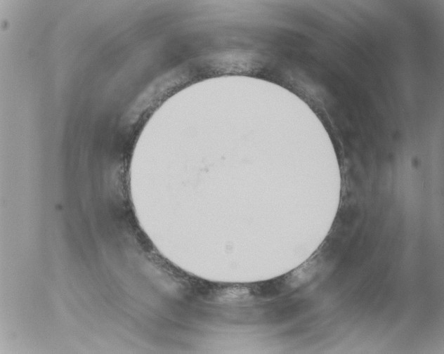 X0000054430162200508262356