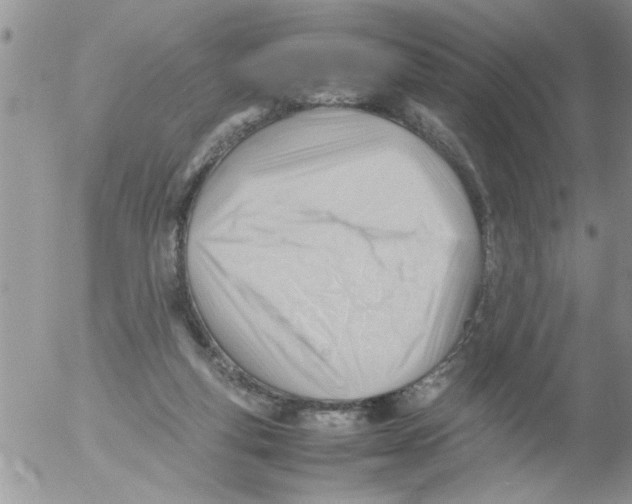 X0000054430163200508262356