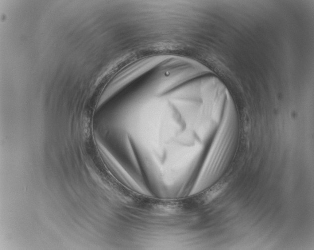 X0000054430164200508262356