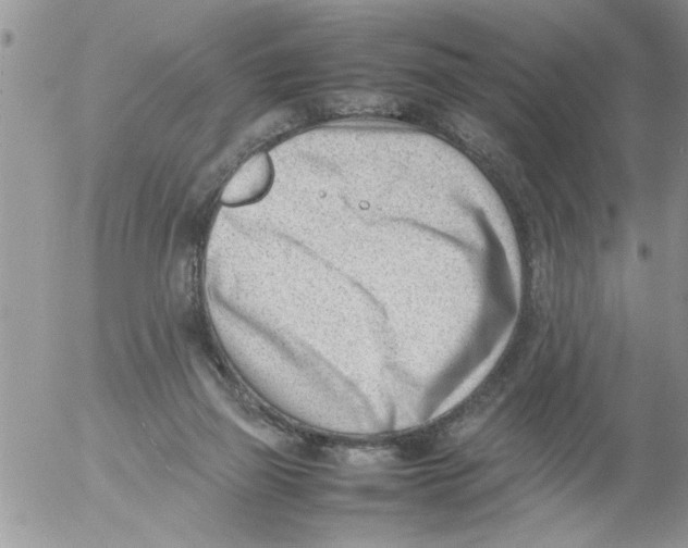 X0000054430165200508262356