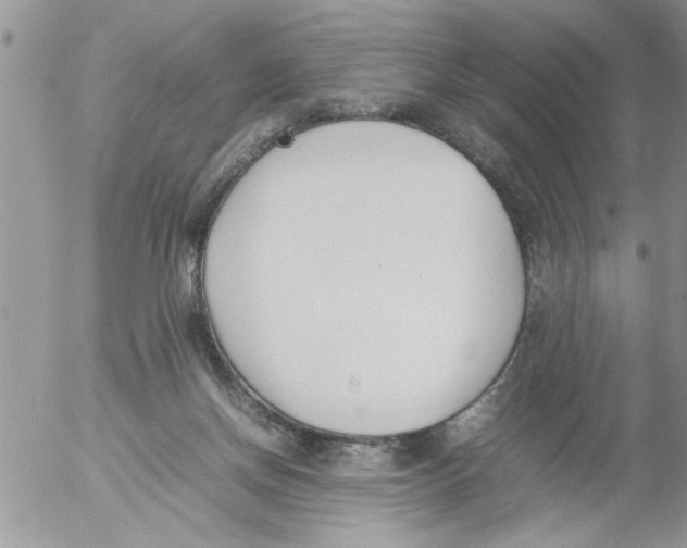 X0000054430166200508262356