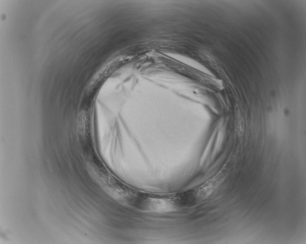 X0000054430167200508262356