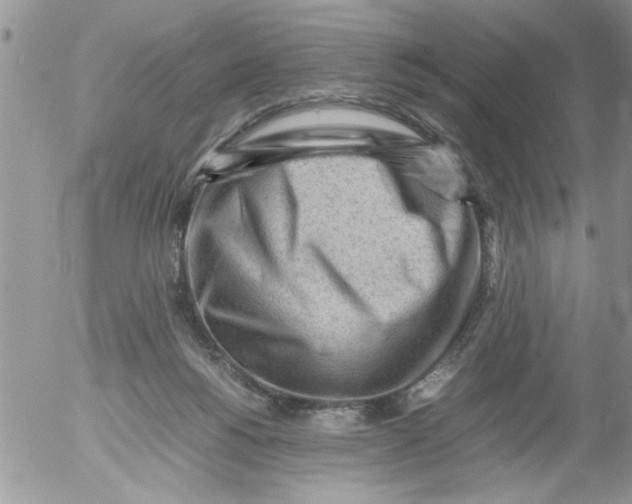 X0000054430168200508262356