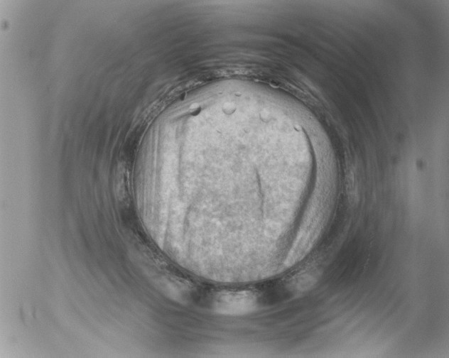 X0000054430169200508262356