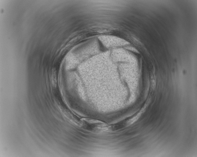 X0000054430170200508262356