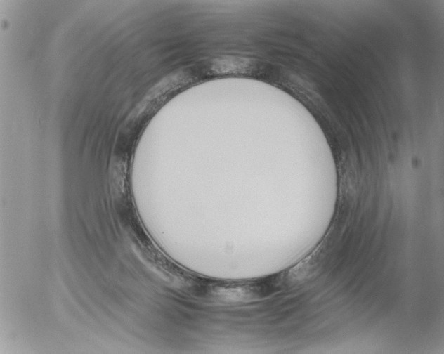 X0000054430171200508262356