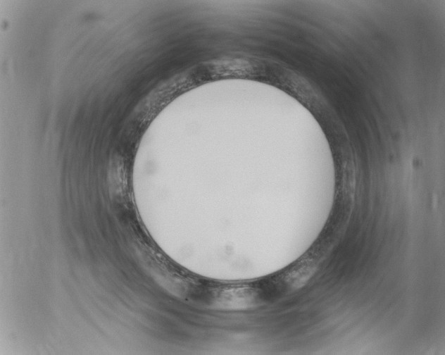 X0000054430173200508262356