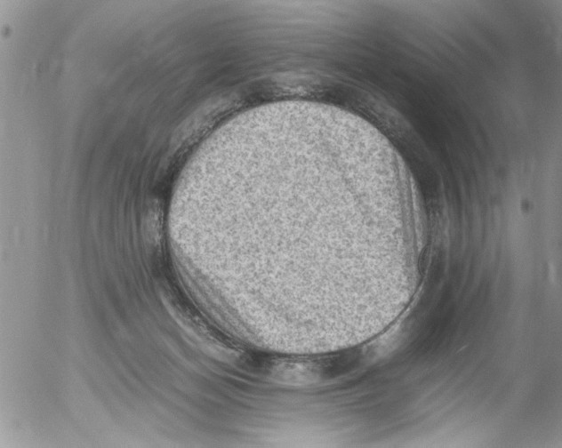 X0000054430174200508262356