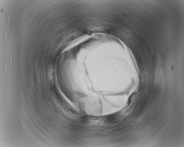 X0000054430175200508262356