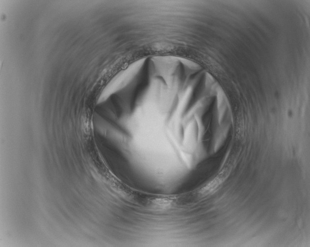 X0000054430176200508262356