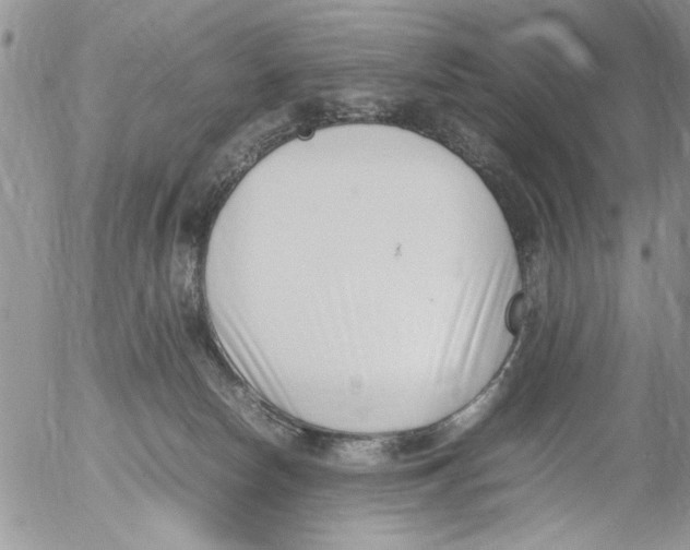 X0000054430178200508262356