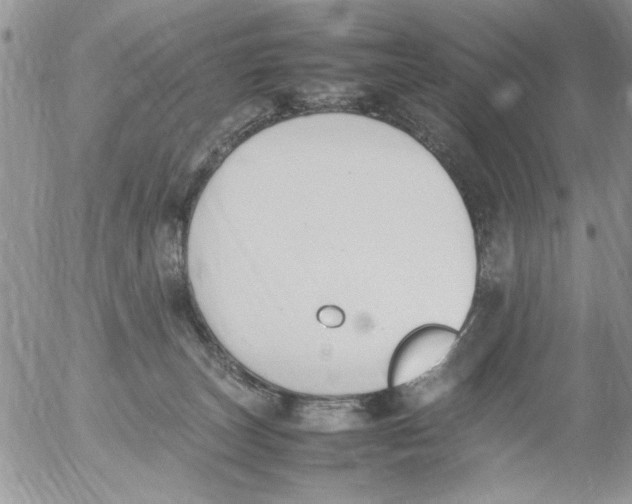 X0000054430179200508262356