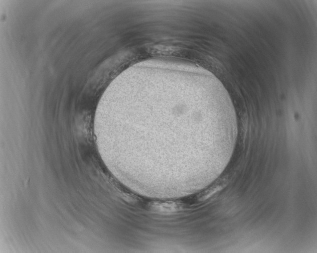 X0000054430181200508262356