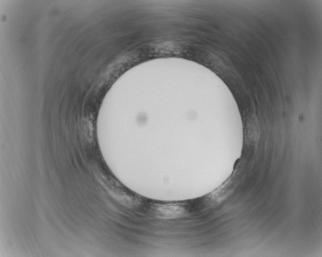 X0000054430183200508262357