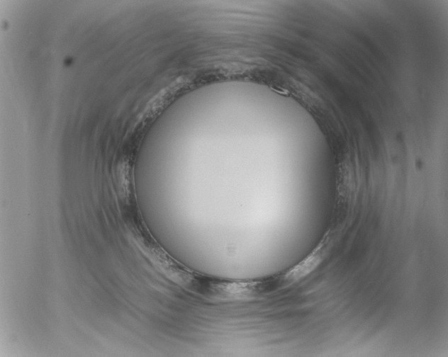 X0000054430184200508262357