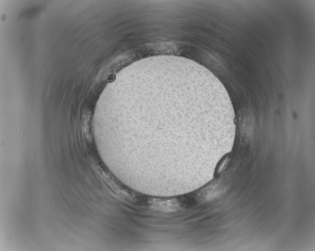 X0000054430185200508262357