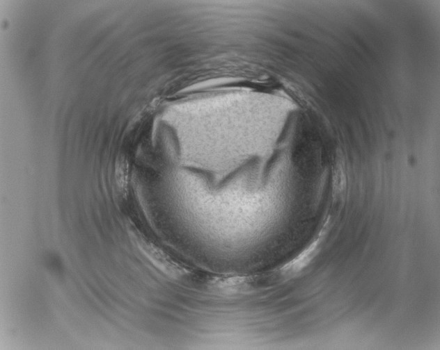 X0000054430186200508262357