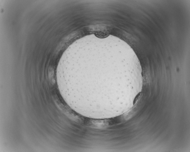 X0000054430187200508262357