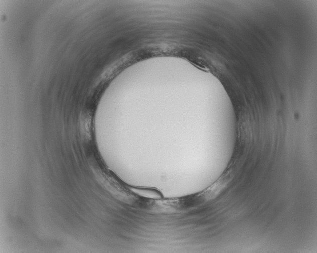 X0000054430188200508262357