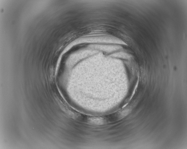 X0000054430189200508262357