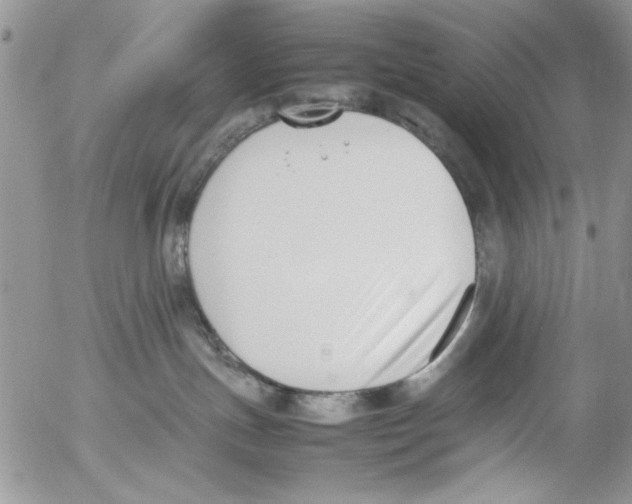 X0000054430191200508262357