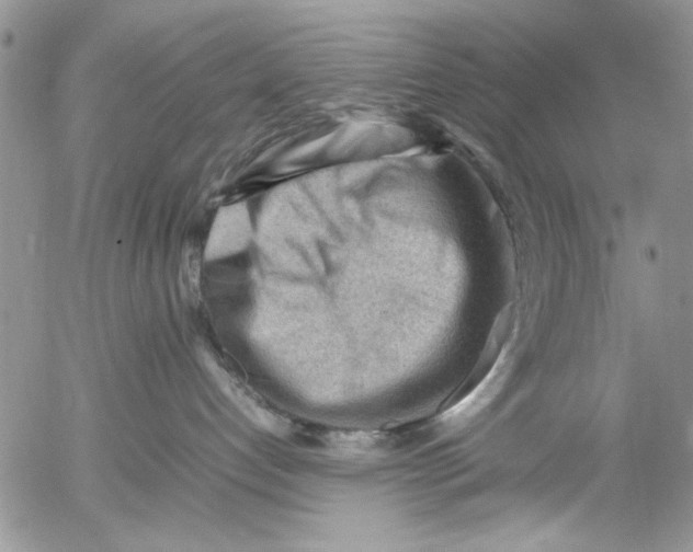 X0000054430192200508262357