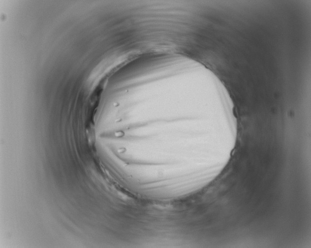 X0000054430194200508262356