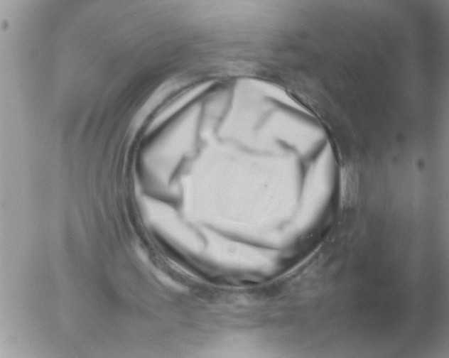 X0000054430195200508262356