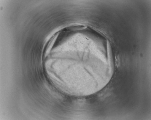 X0000054430196200508262356