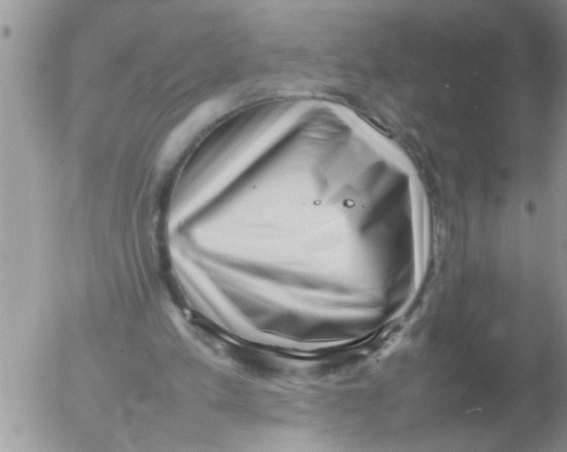 X0000054430197200508262356