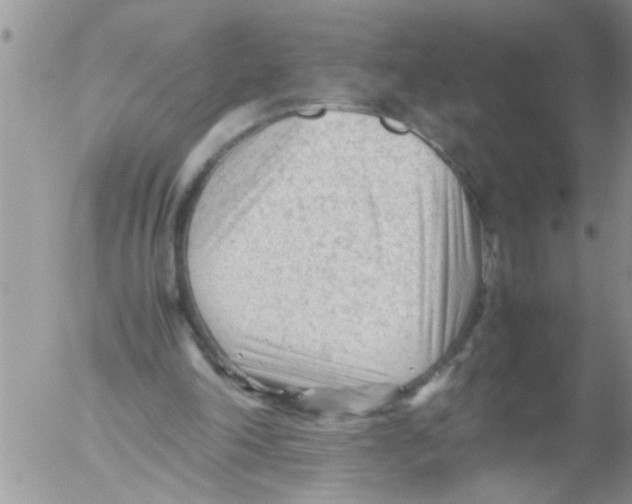 X0000054430198200508262356