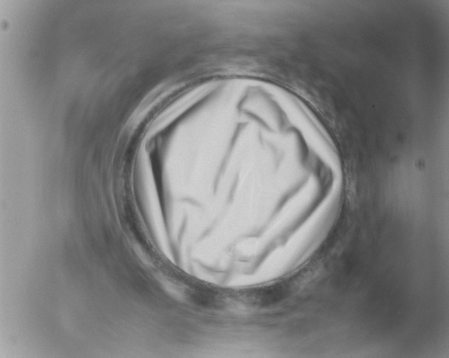 X0000054430199200508262356