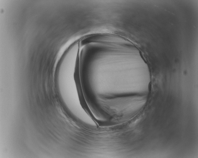 X0000054430200200508262356