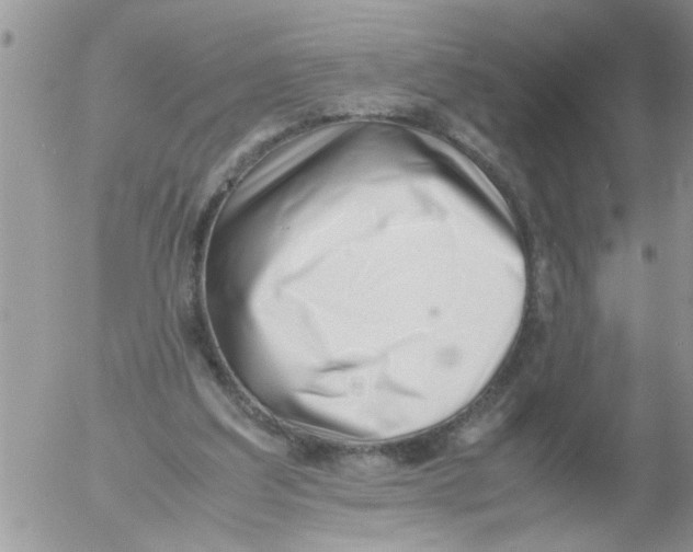 X0000054430203200508262356