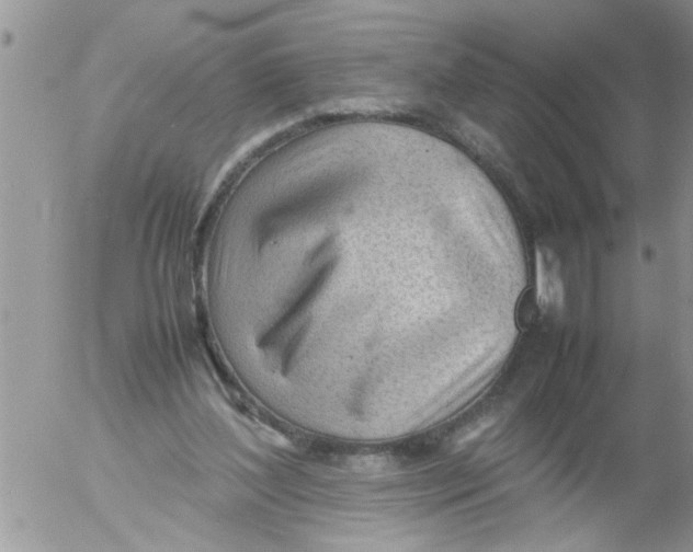 X0000054430204200508262356