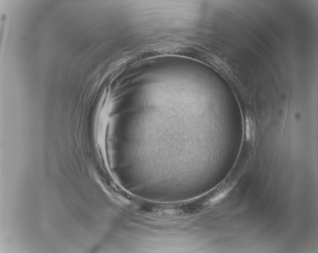 X0000054430205200508262356