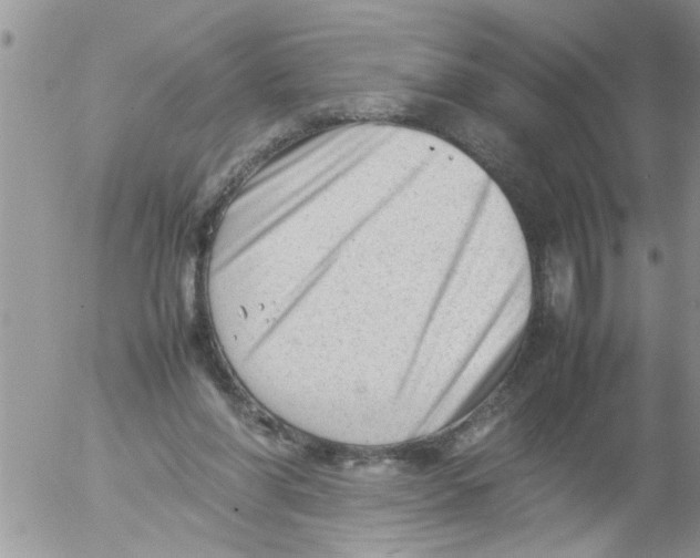 X0000054430206200508262356