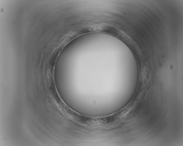 X0000054430209200508262356