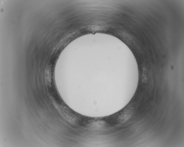 X0000054430210200508262356