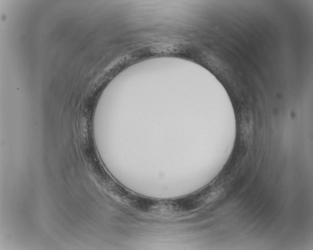 X0000054430211200508262356