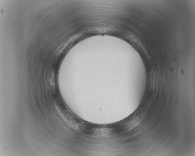 X0000054430212200508262356