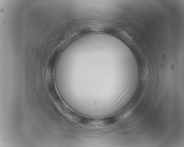 X0000054430213200508262356