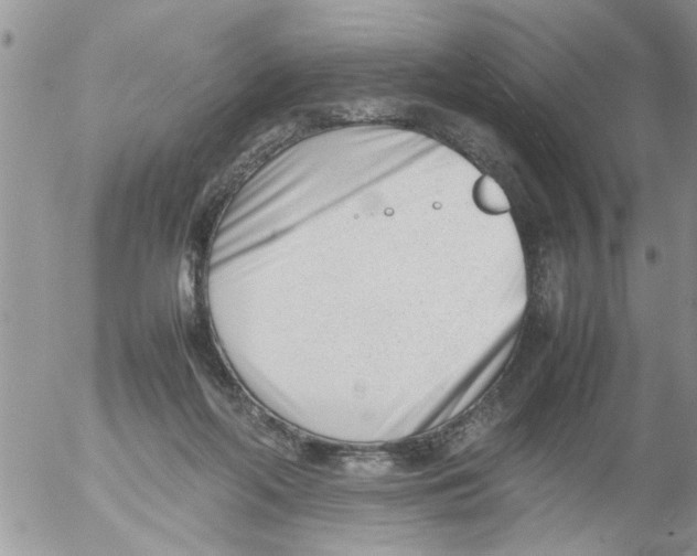 X0000054430214200508262356