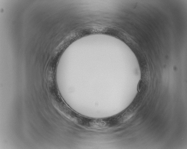 X0000054430215200508262356